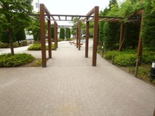 【神奈川県/横浜市港北区綱島西】ディアパークスコンフォートスクエア 敷地内