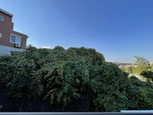 【神奈川県/横浜市金沢区富岡西】ライネスハイム京急富岡 眺望