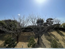 【神奈川県/逗子市小坪】シーサイドコート逗子望洋邸 眺望