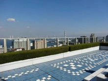 【神奈川県/横浜市中区日本大通】シティタワー横濱 眺望：屋上から（ベイブリッジ方面）