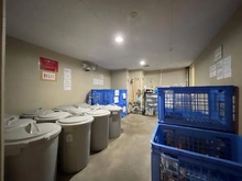 【神奈川県/横須賀市秋谷】グランシティユーロリゾート西海岸通り 敷地内