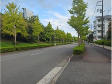 【神奈川県/横浜市金沢区並木】並木3丁目第1住宅 9-3号棟 前面道路