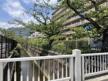 【神奈川県/鎌倉市岩瀬】アスティオス鎌倉岩瀬 砂押川（準用河川）（現地より約80m）