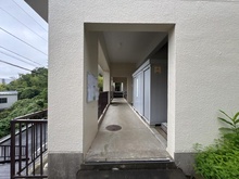【神奈川県/鎌倉市植木】ヒルハイツ鎌倉 C棟 敷地内