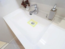 【神奈川県/横浜市都筑区北山田】ビューリッシュ港北ニュータウンアジュリーヌ 洗面室