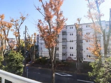 【神奈川県/川崎市宮前区けやき平】宮前平グリーンハイツ 36号棟 眺望