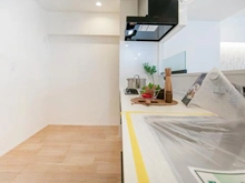 【神奈川県/川崎市宮前区菅生】ビッグヴァン宮前平 キッチン