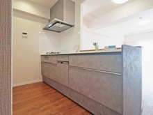 【神奈川県/川崎市宮前区菅生】リリーベル宮前ヒルズ キッチン