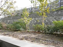 【神奈川県/川崎市宮前区鷺沼】ローレルコート鷺沼 眺望