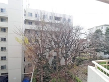 【神奈川県/横浜市青葉区青葉台】ドルフ青葉台3号棟 眺望