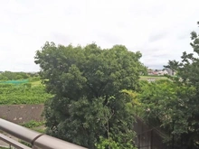 【神奈川県/横浜市青葉区美しが丘西】ルネたまプラーザ 眺望