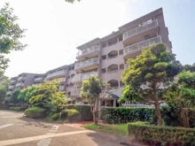 【神奈川県/横浜市都筑区荏田南】かしの木台ハイツ 19-7号棟 外観