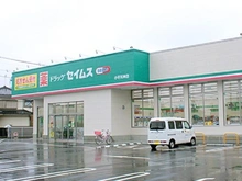 【東京都/小平市花小金井】ルネ花小金井 ドラッグセイムス　小平天神店（現地より約260m）：