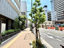 【東京都/小金井市本町】アデニウム武蔵小金井 前面道路