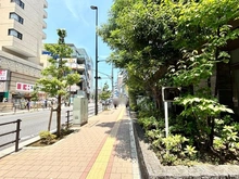 【東京都/小金井市本町】アデニウム武蔵小金井 前面道路