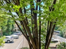 【東京都/武蔵野市境】グランドメゾン武蔵野 眺望