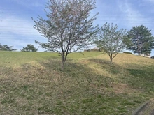 【東京都/八王子市上柚木】南大沢学園一番街1号棟 上柚木公園（現地より約570m）