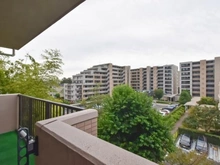 【東京都/武蔵野市桜堤】ロイヤルアーク武蔵野 眺望：南側