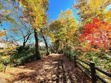 【東京都/小平市小川町】ルフォンソレイユ小平小川町 玉川上水緑道（現地より約600m）