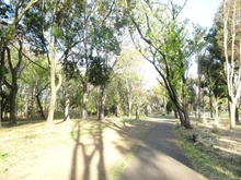 【東京都/小金井市中町】エクセレント武蔵野公園 A棟 都立武蔵野公園（現地より約400m）