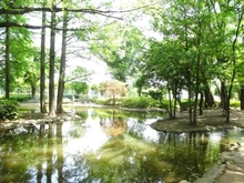 【東京都/小平市回田町】ライオンズヴィアーレ武蔵小金井壱番館 つつじ公園（現地より約780m）