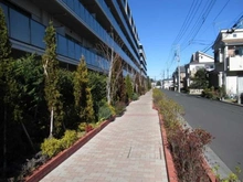 【東京都/小平市鈴木町】ザ・パークハウス花小金井ガーデンI街区 B棟 前面道路
