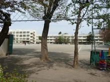 【東京都/府中市浅間町】エルフォレスト ガーデンウィング棟 府中市立第六小学校.（現地より約940m）：