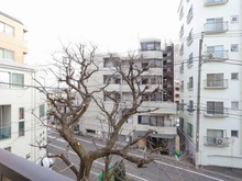 【東京都/世田谷区用賀】ライオンズマンション用賀台 眺望：桜の木