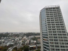 【東京都/世田谷区玉川】二子玉川ライズタワー&レジデンスタワーウエスト 眺望