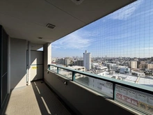 【東京都/世田谷区弦巻】ラ・コルダ弦巻 フォレストコート 眺望