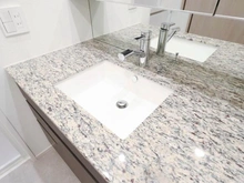 【東京都/世田谷区瀬田】ザ・パークハウス二子玉川ガーデン 洗面所