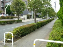 【東京都/世田谷区上野毛】上野毛シティハウスサウステラス 前面道路