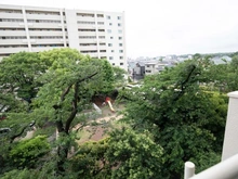 【東京都/世田谷区上用賀】馬事公苑前ハイム2号棟 眺望