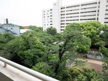 【東京都/世田谷区上用賀】馬事公苑前ハイム2号棟 眺望