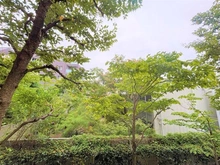 【東京都/世田谷区桜新町】グランスイート桜新町 眺望