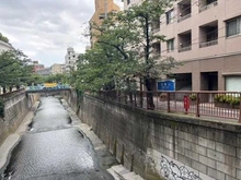 【東京都/目黒区大橋】クロスエアタワー 目黒川（現地より約300m）