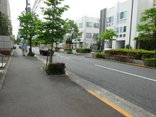 【東京都/世田谷区弦巻】ダイアパレス弦巻 前面道路