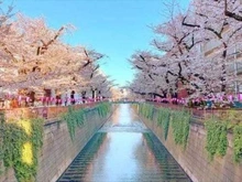 【東京都/目黒区青葉台】ジェイパーク青葉台アパートメント 目黒川（現地より約140m）