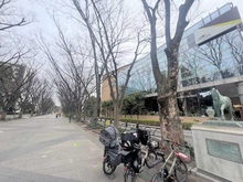 【東京都/世田谷区桜】レジデンスコート馬事公苑  馬事公苑前緑地（現地より約110m）