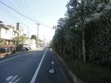 【東京都/世田谷区桜】ライオンズマンション馬事公苑パークサイド 前面道路