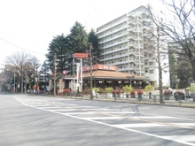 【東京都/世田谷区上用賀】パシフイック馬事公苑前2号棟 前面道路