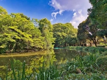 【東京都/杉並区成田西】ライオンズガーデン浜田山  和田堀公園（現地より約1,200m）