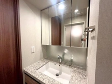 【東京都/三鷹市下連雀】プレミスト三鷹 洗面所