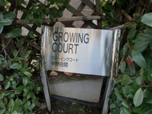 【東京都/中野区白鷺】グローイングコート中野白鷺 マンション表札