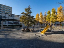 【東京都/台東区竜泉】ミサワホームズ三ノ輪  台東区立東盛公園（現地より約250m）