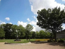 【東京都/杉並区上井草】ラヴィドール杉並上井草 井草森公園（現地より約586m）