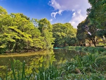 【東京都/杉並区浜田山】アリュール浜田山 和田堀公園（現地より約800m）