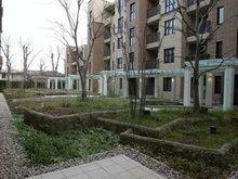 【東京都/杉並区高井戸東】パークシティ浜田山 B棟 中庭