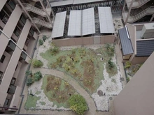 【東京都/杉並区今川】エクセル荻窪西 中庭