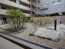 【東京都/杉並区今川】エクセル荻窪西 中庭
